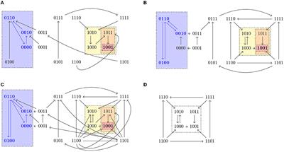 Control in Boolean Networks With Model Checking